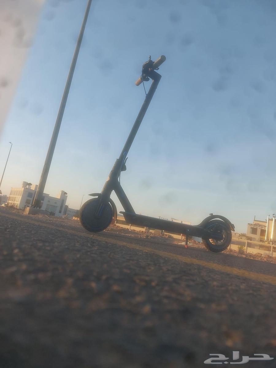 سكوتر كهربائي نيازيك نظيف جدا جدا سرعه 70 كلم63730596644099113