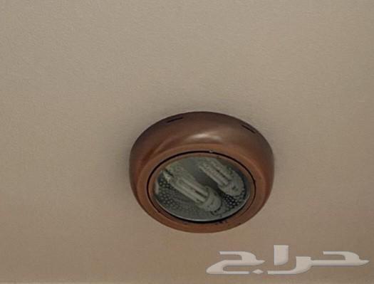 Lamp holders with base without lamps, free for those who need them63733671518465110