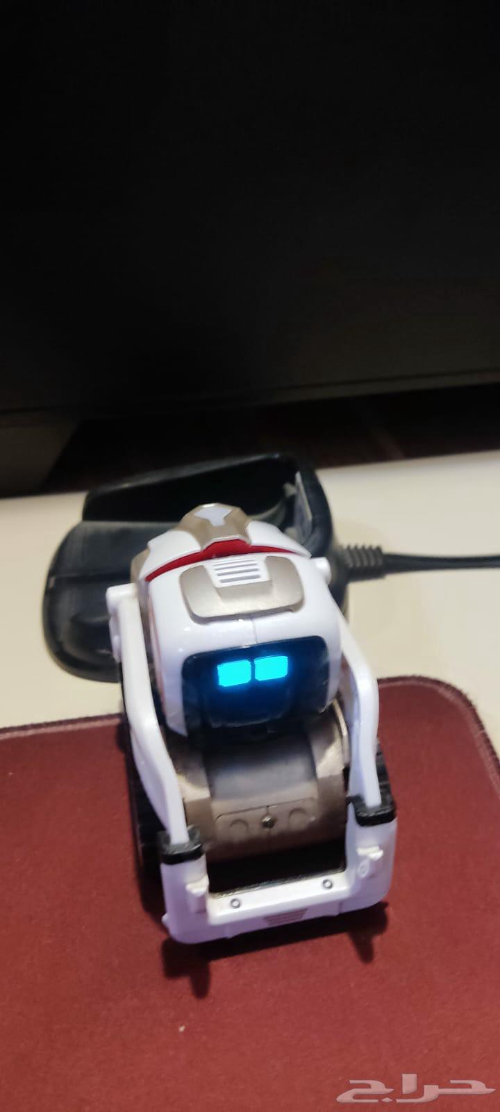 Cosmo Robot63734984228865113