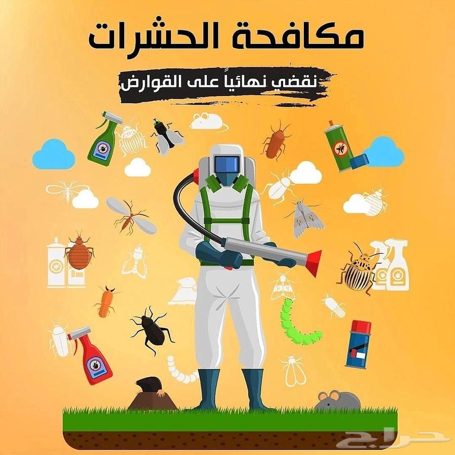 Pest and Rodent Control Company in Dammam and Khobar, Eastern Province63613041980931111
