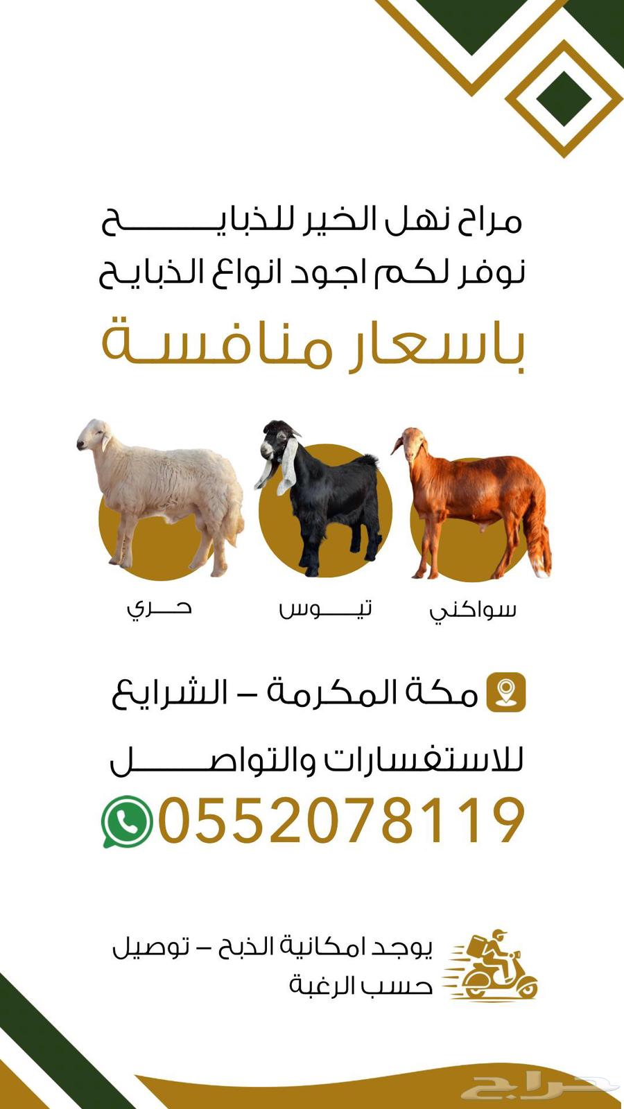 للبيع ذبايح حريه ( طلي - رخل ) يوجد ذبح وتوصيل .63743579862915112