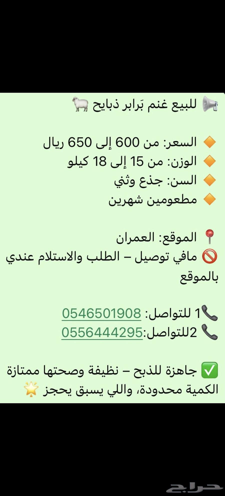 Sheep for sale, slaughter-ready, price from 600 to 650 SAR63742547545090110