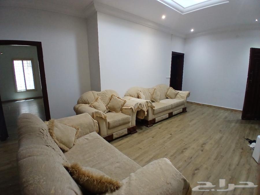 nice and comfortable63742355998723114