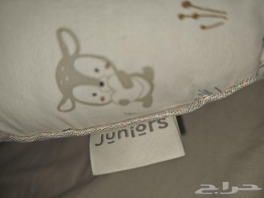 Clean used crib, available for one week with Centripoint nursing pillow63746009132547114