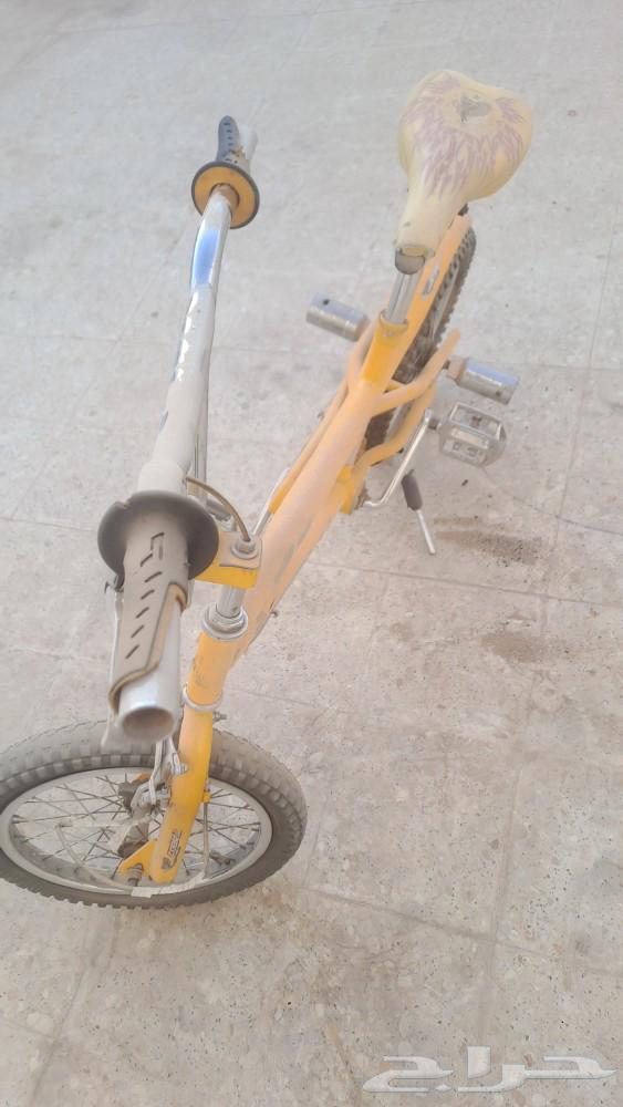 سيكل كوبرا نظيف63744696476546111