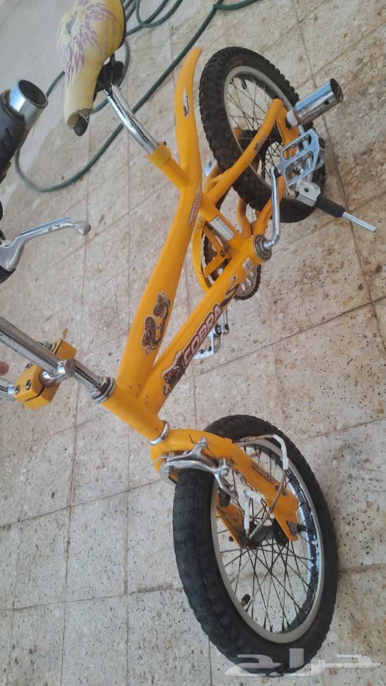 سيكل كوبرا نظيف63744696476546110