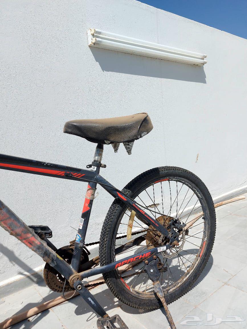 Sports bicycle for sale63744315760257112