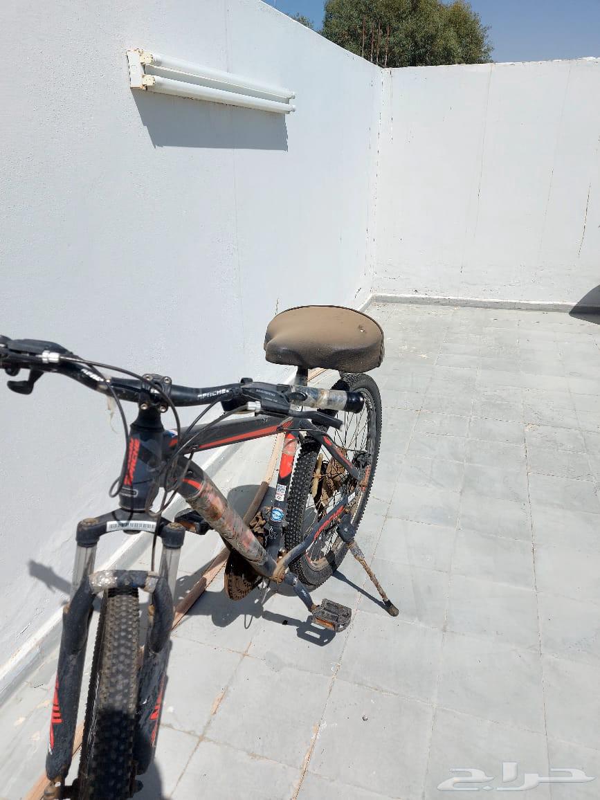 Sports bicycle for sale63744315760257110