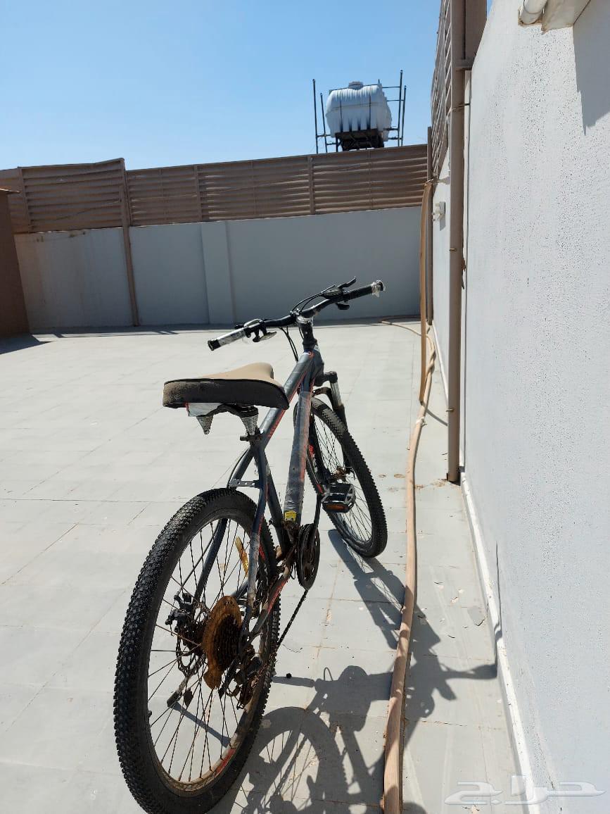 Sports bicycle for sale63744315760257111