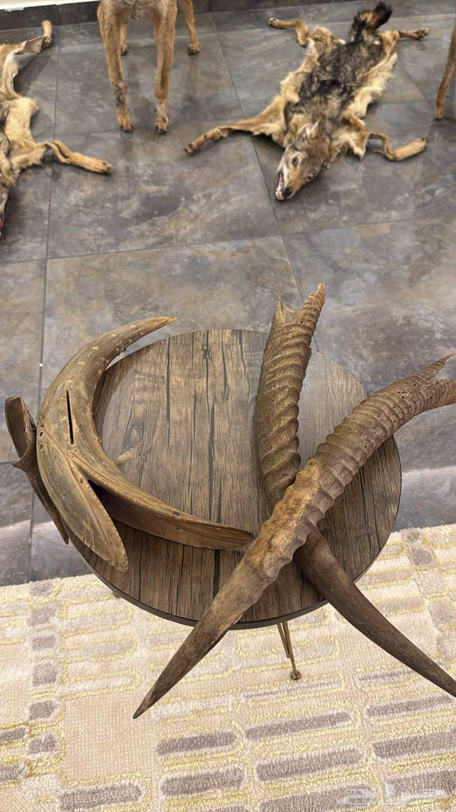 For heritage, museums, parks, and rest areas63739238631682112