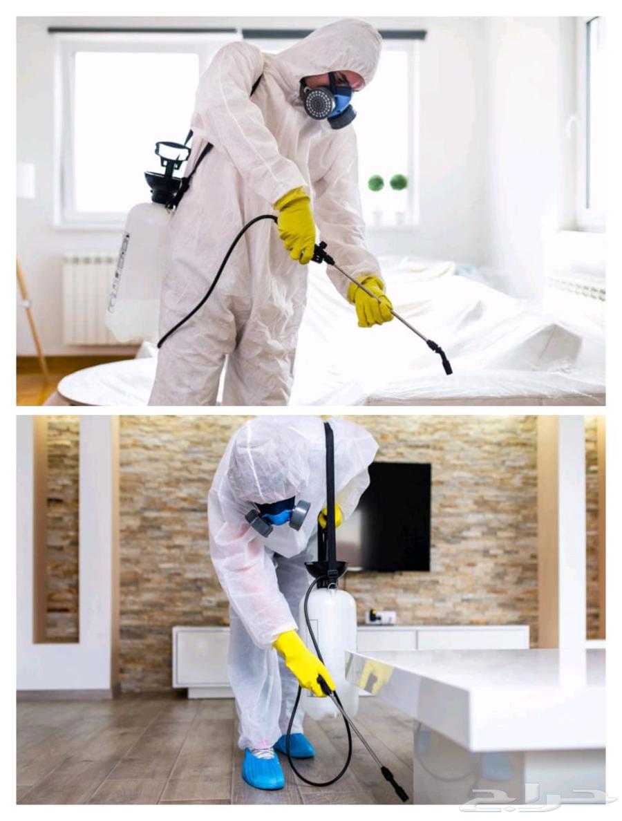 Pest and Rodent Control Company in Dammam and Khobar, Eastern Province63613041980931114