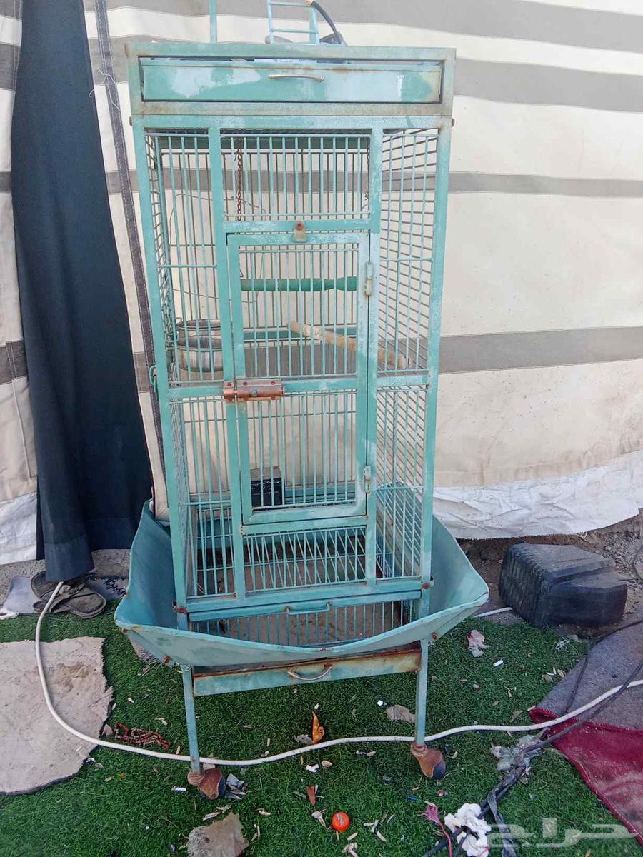 Hello, I have a cage and animals63655624306305110