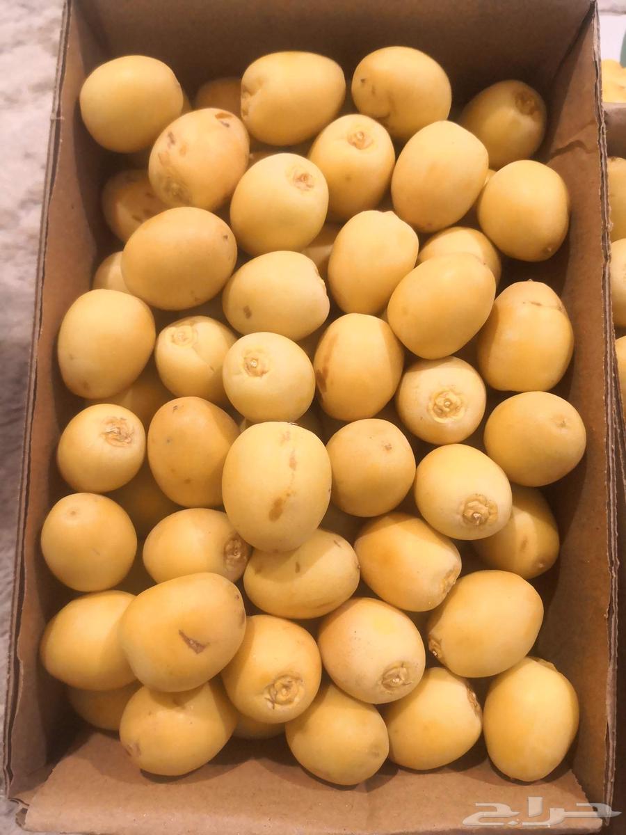 For sale: Manasef, Nanah, and Barhi available daily in quantity63760202798595111