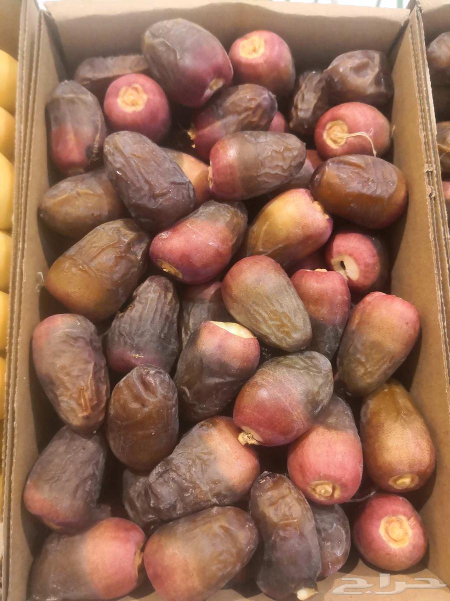 For sale: Manasef, Nanah, and Barhi available daily in quantity63760202798595112