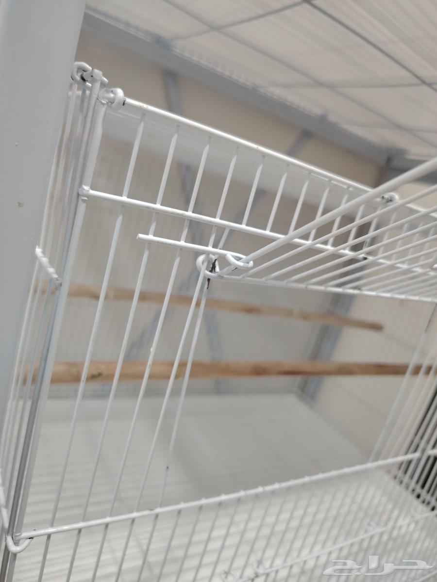 Bird stand with cages 60163753633136899114