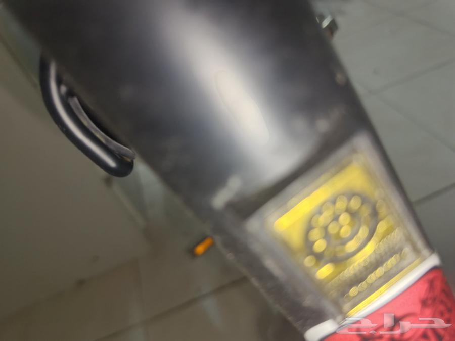 رامبو اندنوسي للبيع63759138738946112