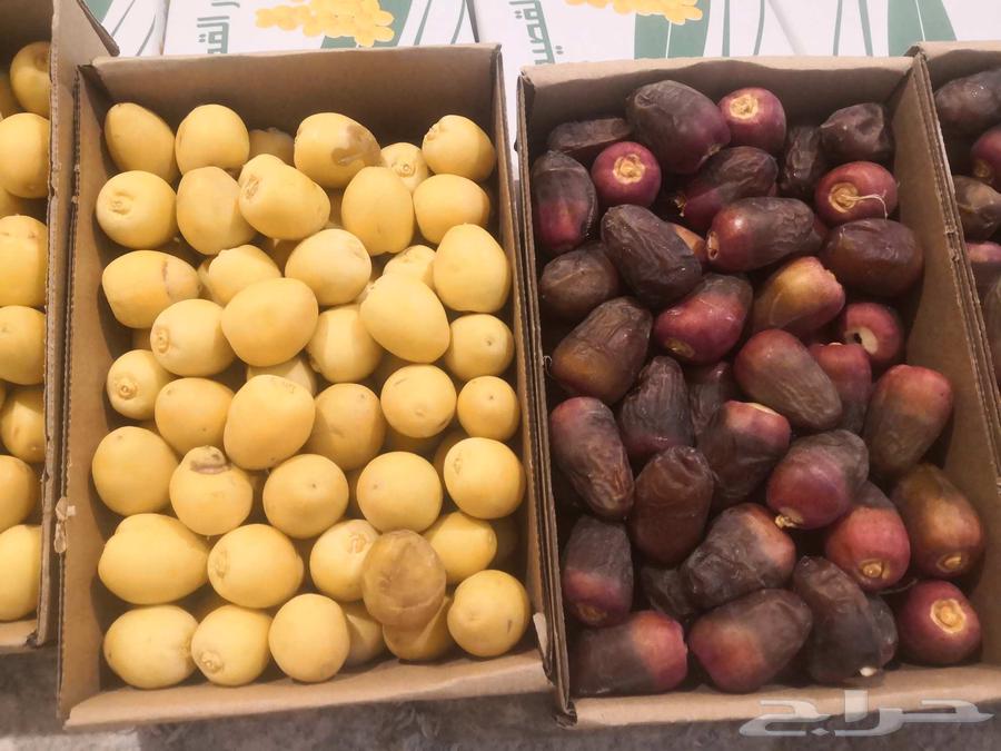 For sale: Manasef, Nanah, and Barhi available daily in quantity63760202798595110