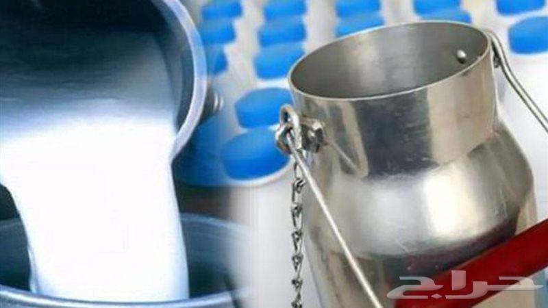 حليب بقر طازج يوجد توصيل الرياض63757647646339110