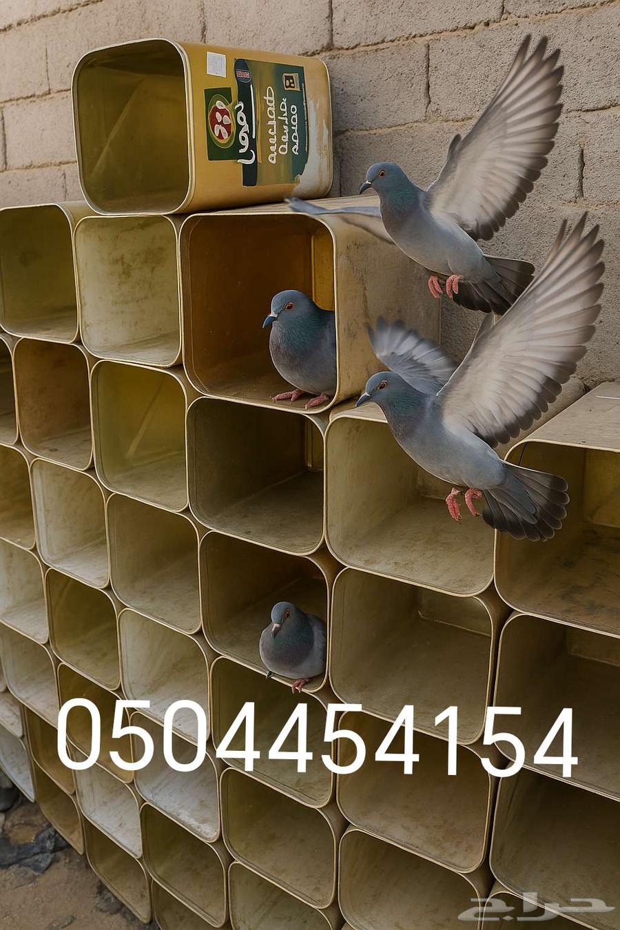 تنك حديد للبيع بيوت للحمام او الدجاج63767443156353113