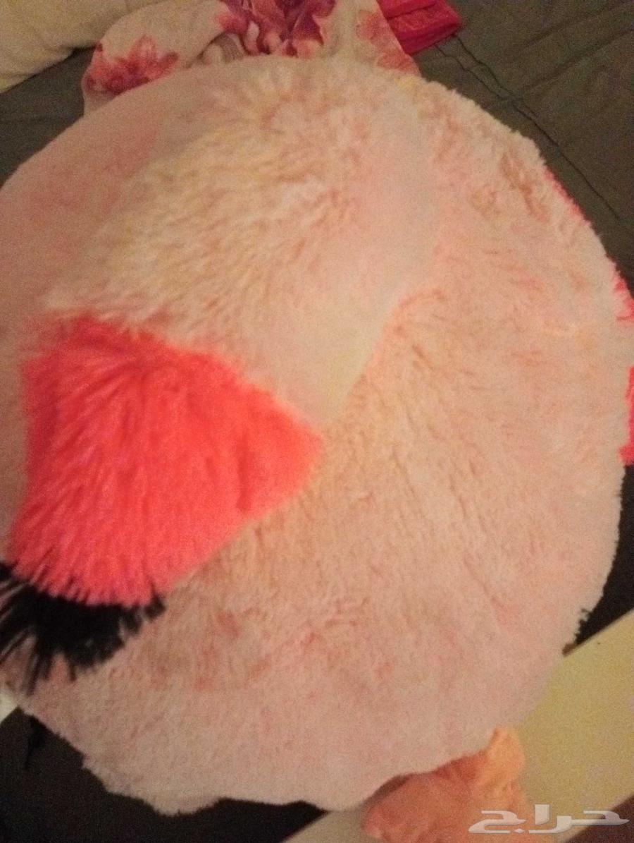 A beautiful Nadir doll, last love, you can come and get what's in his pants in a picture63773519548675111