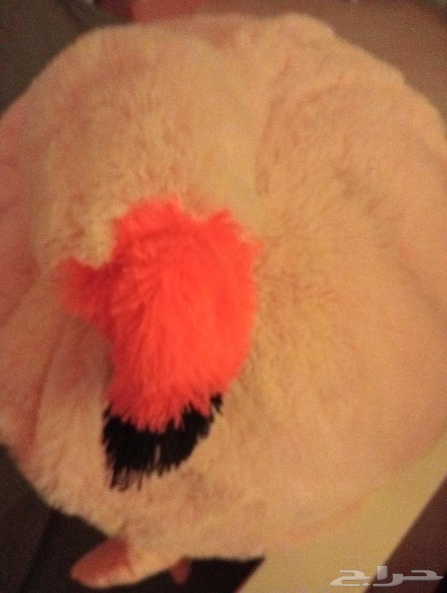 A beautiful Nadir doll, last love, you can come and get what's in his pants in a picture63773519548675112
