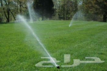 Garden landscaping63617939858817114