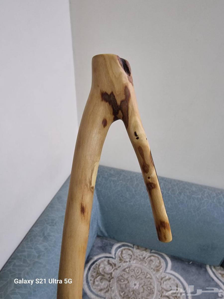 مشعاب عتم ( تم البيع )63765365070083111