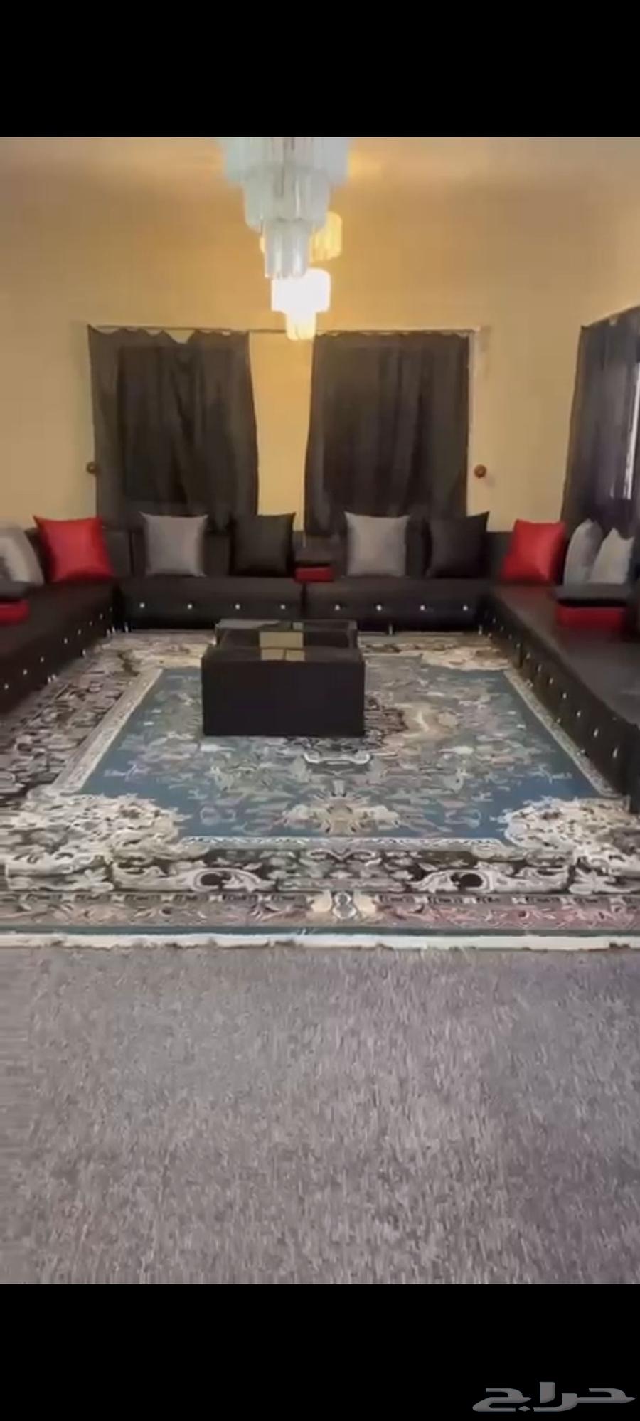 شقة للإيجار