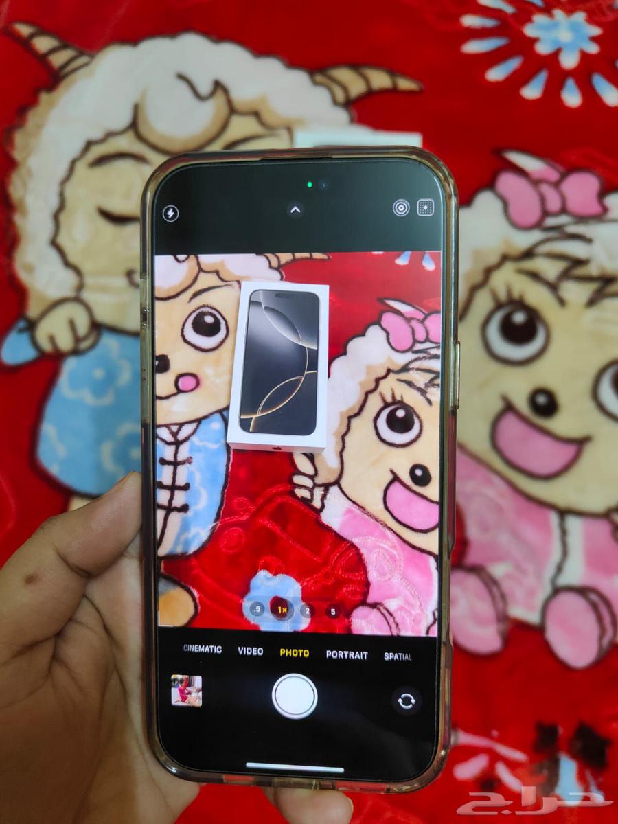 iPhone 16 Pro Max 256 The color is selver The status is us63781080668417111