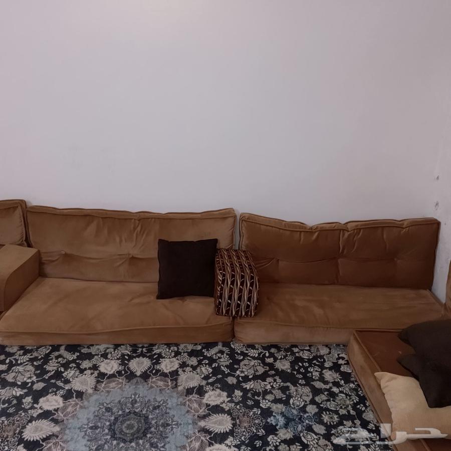 للبيع مجلس استخدام شهور نظيف63780117549185113