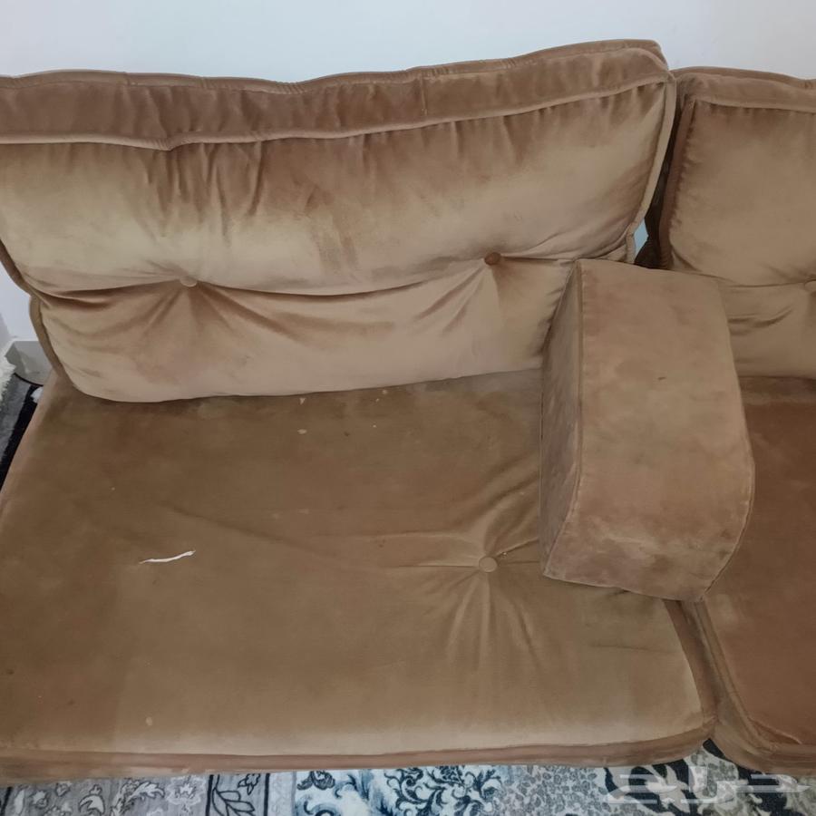 للبيع مجلس استخدام شهور نظيف63780117549185112