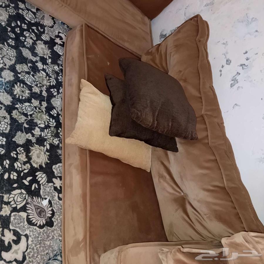 للبيع مجلس استخدام شهور نظيف63780117549185114