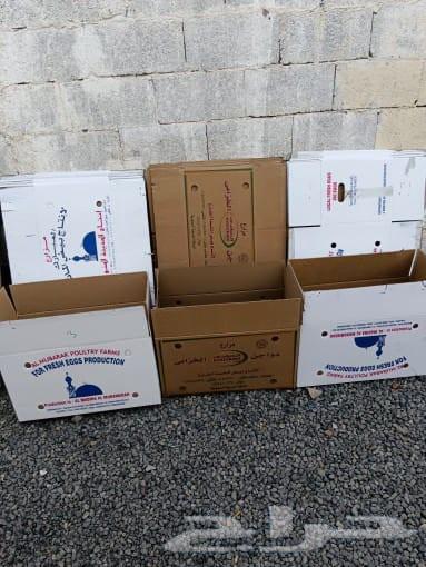 For sale, two boxes of very fresh eggs63617939880451111