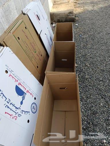 For sale, two boxes of very fresh eggs63617939880451114