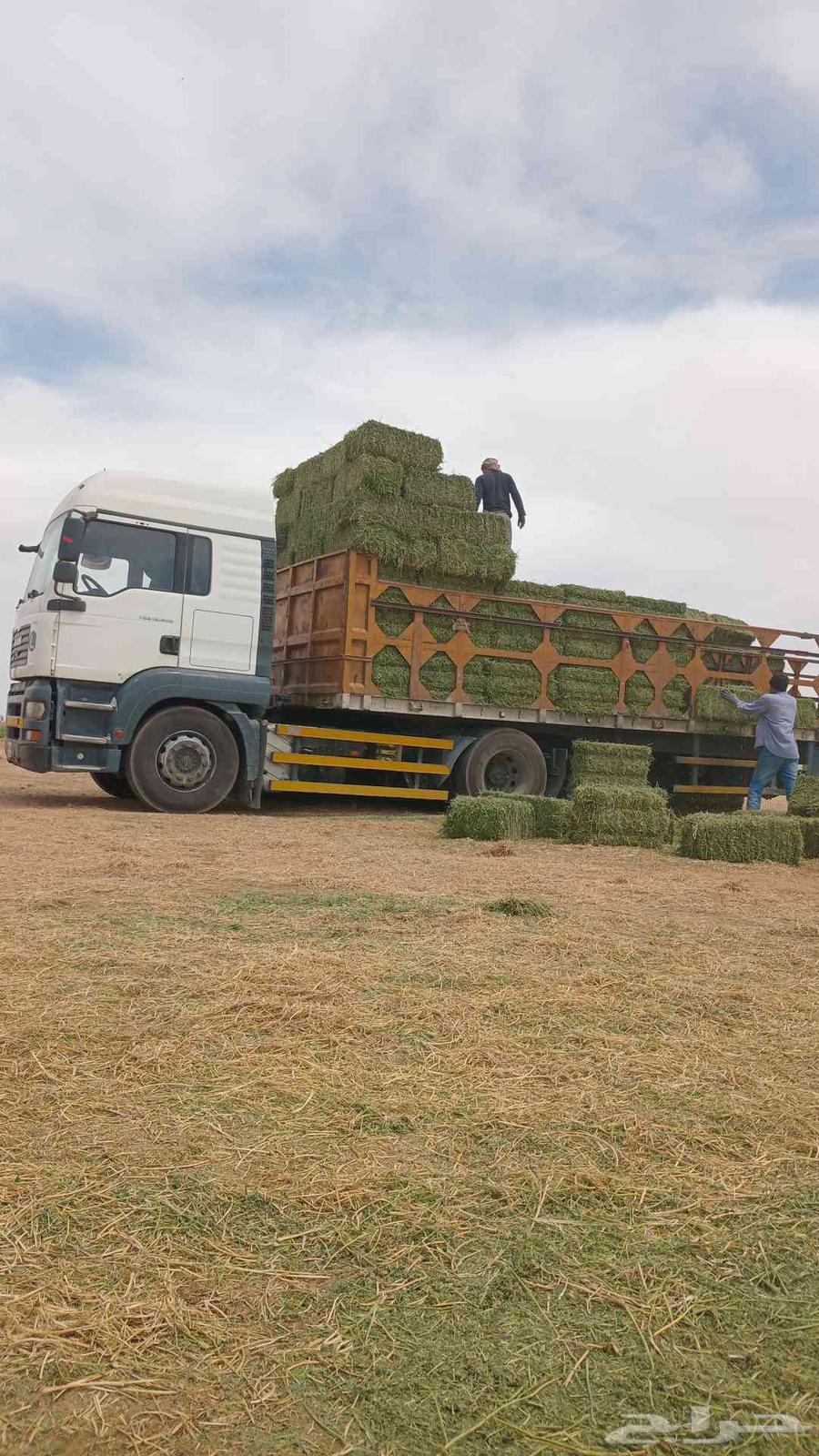 Triple-axle 18-meter tedder, ready to work with new tire set63791993621123111