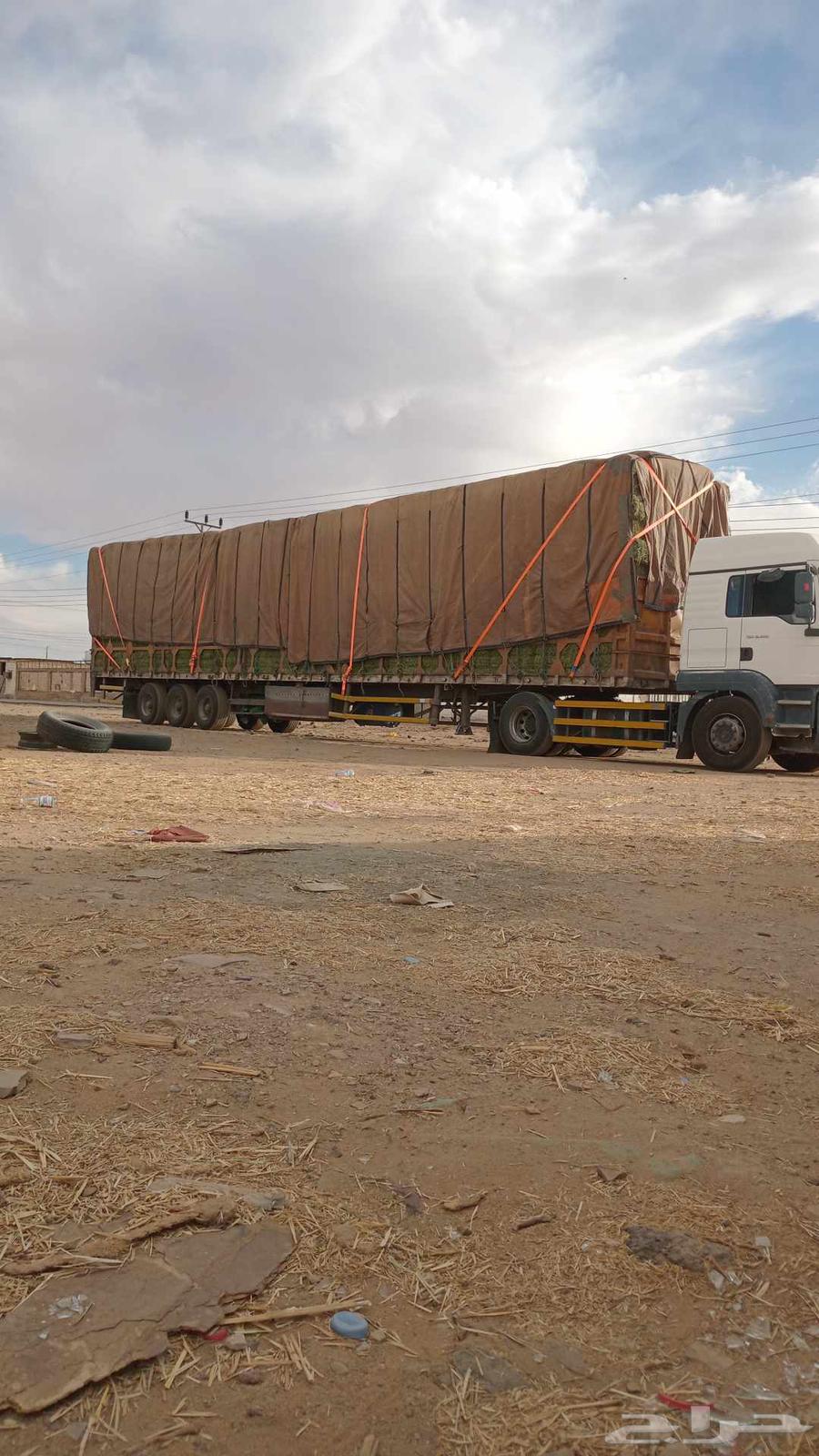Triple-axle 18-meter tedder, ready to work with new tire set63791993621123112