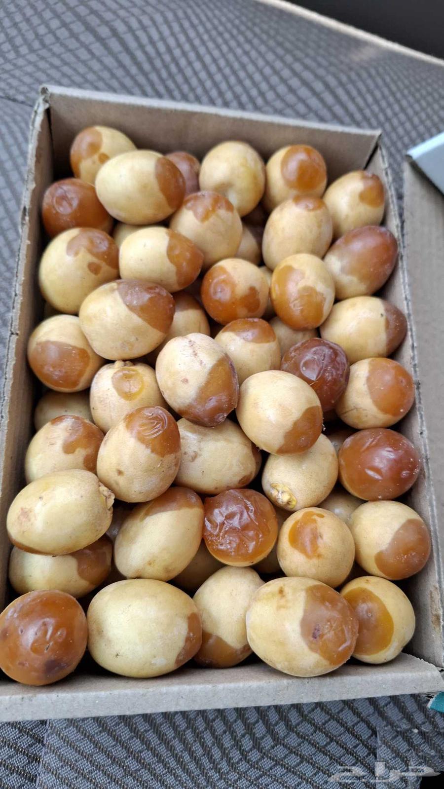 Al-Ahsa Barhi and Hilali Dates63793062220547110