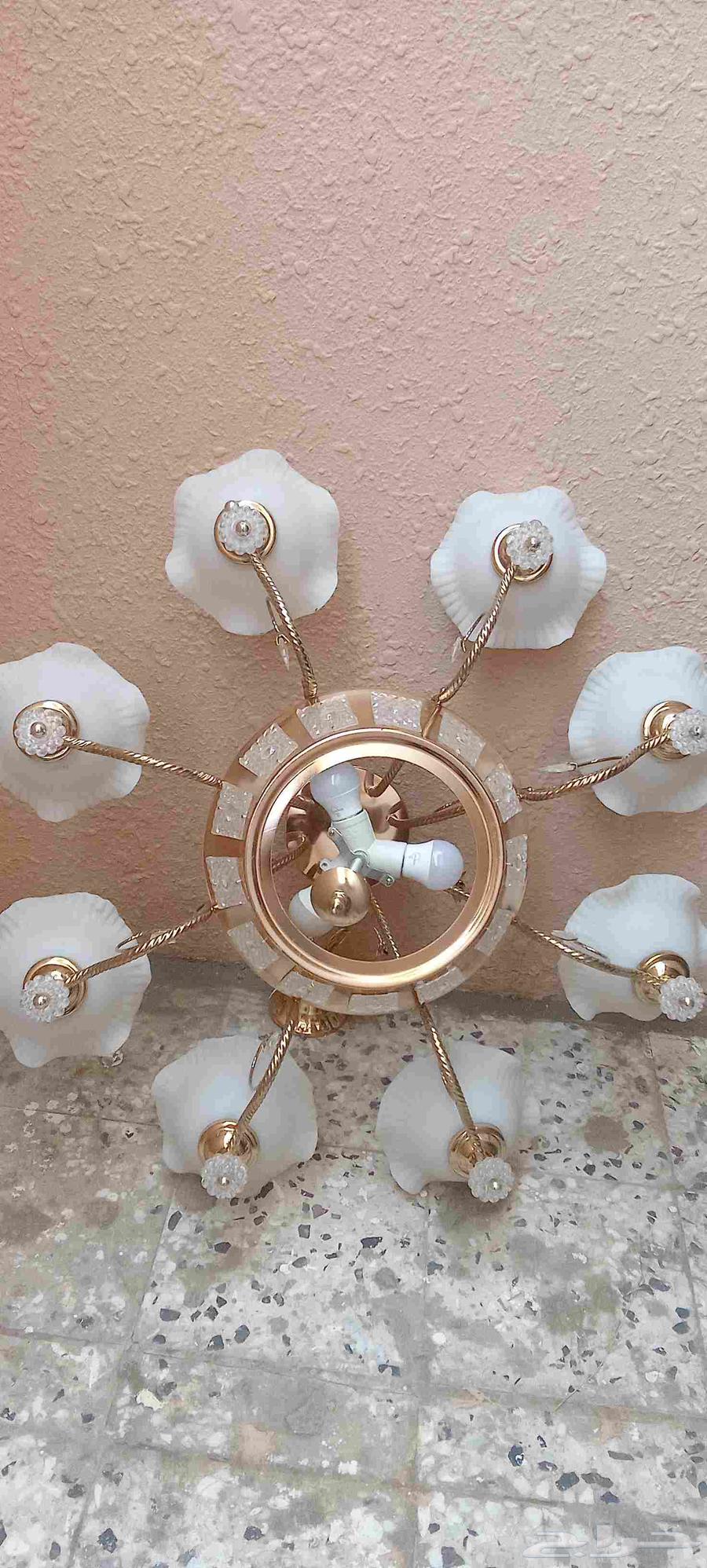 Chandeliers with clean, used bulbs, conditioned63791076689923113