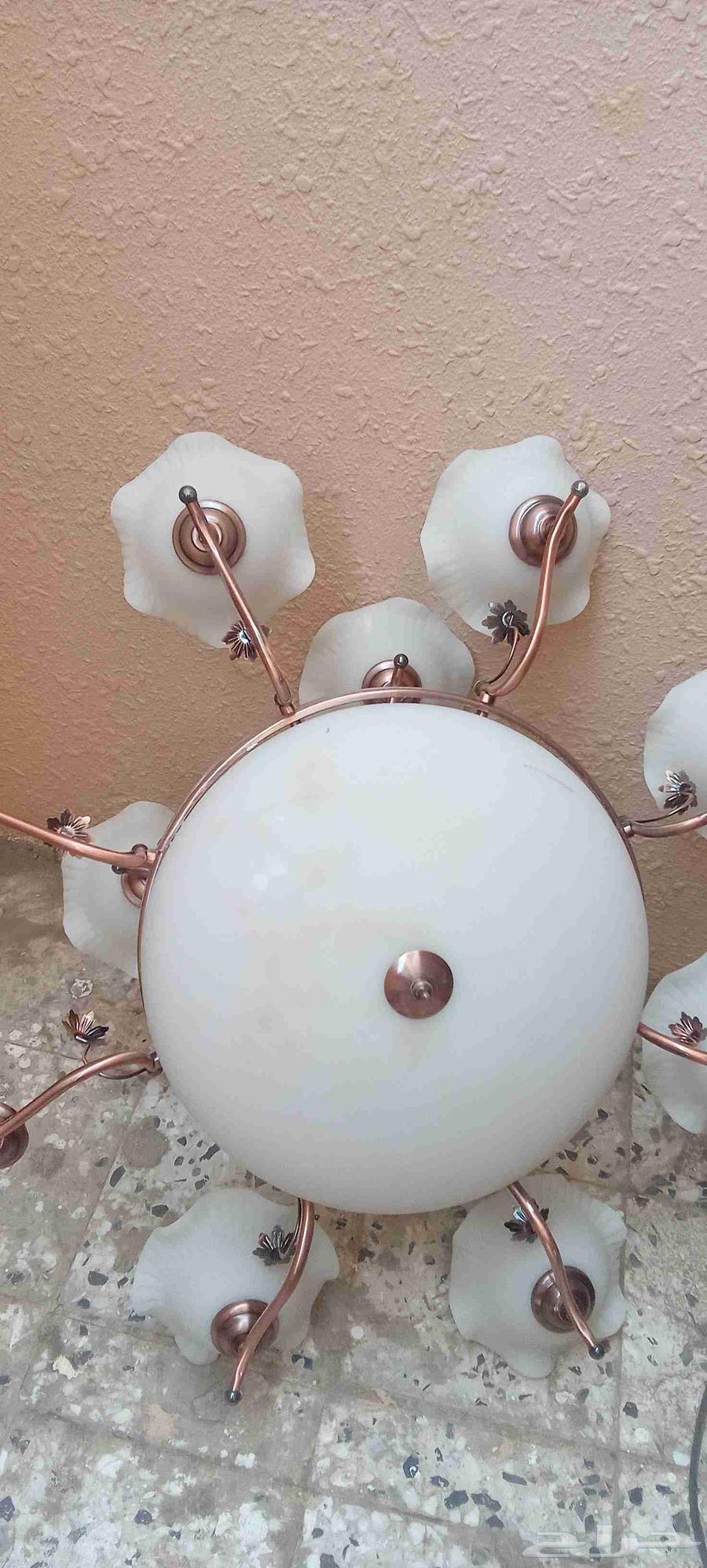 Chandeliers with clean, used bulbs, conditioned63791076689923112