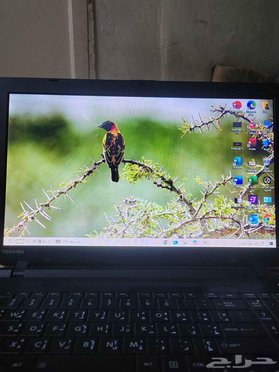 لاب توب توشيبا63791420655363113