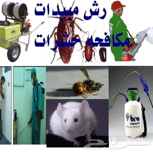 Pest Control Company in Dammam, Khobar, Qatif, Dharan636133745374741120