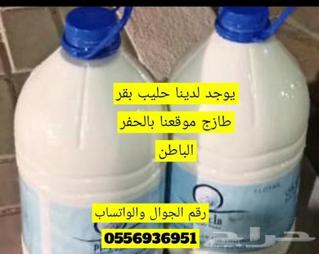 للبيع حليب بقر طازج يوميآ63795513718913110