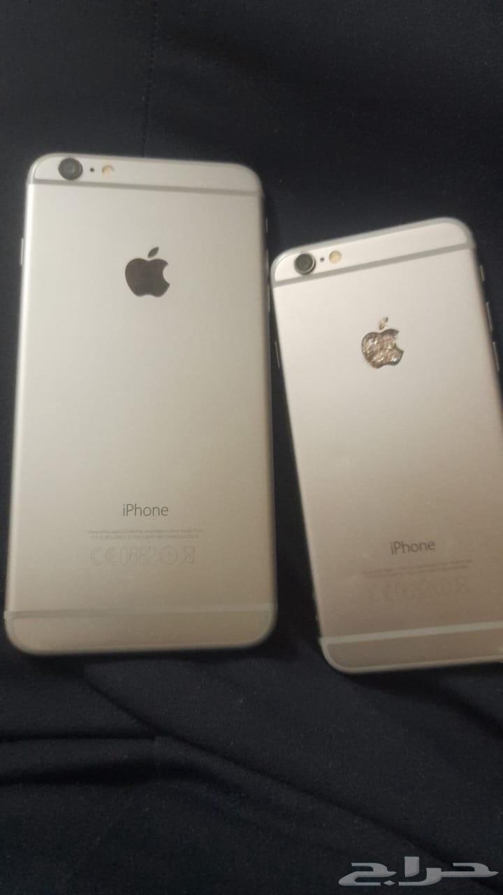 iPhone 6 Plus and regular iPhone 6 and children's car63800487682177111