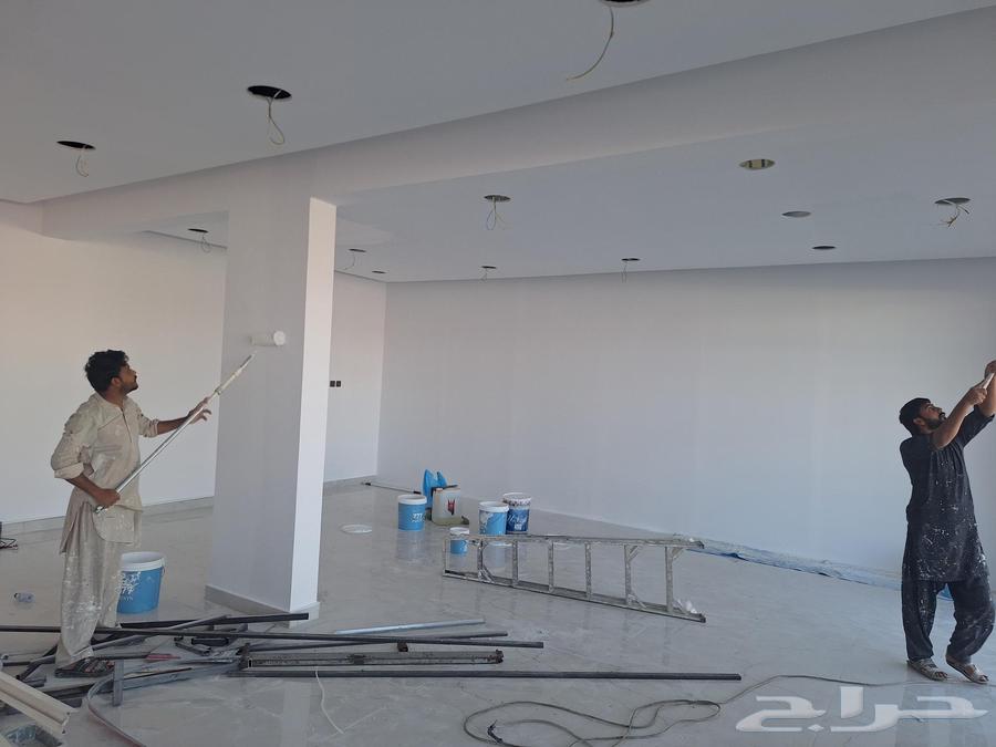 Painter sealer paint expert63382101033473111