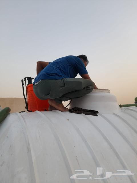 Cleaning apartments, houses, swimming pools, lounges, tanks, kitchens, and shops in Riyadh63382036754049111