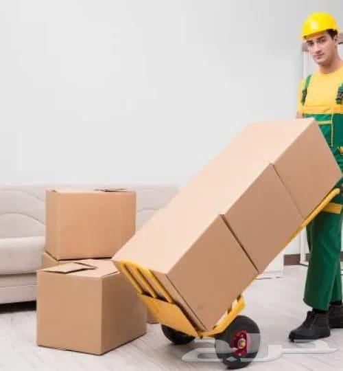 Dina Moving Furniture in Khamis Mushait and Carpenter63382351046401112