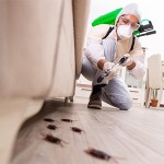 Pest Control Company for Insecticide Spraying, Insecticide, Ants, Cockroaches, Lizards, and Rodents63613395214211111