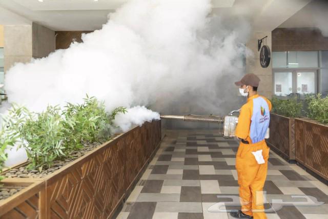 Pest Control Company for Insecticide Spraying, Insecticide, Ants, Cockroaches, Lizards, and Rodents63613395214211114