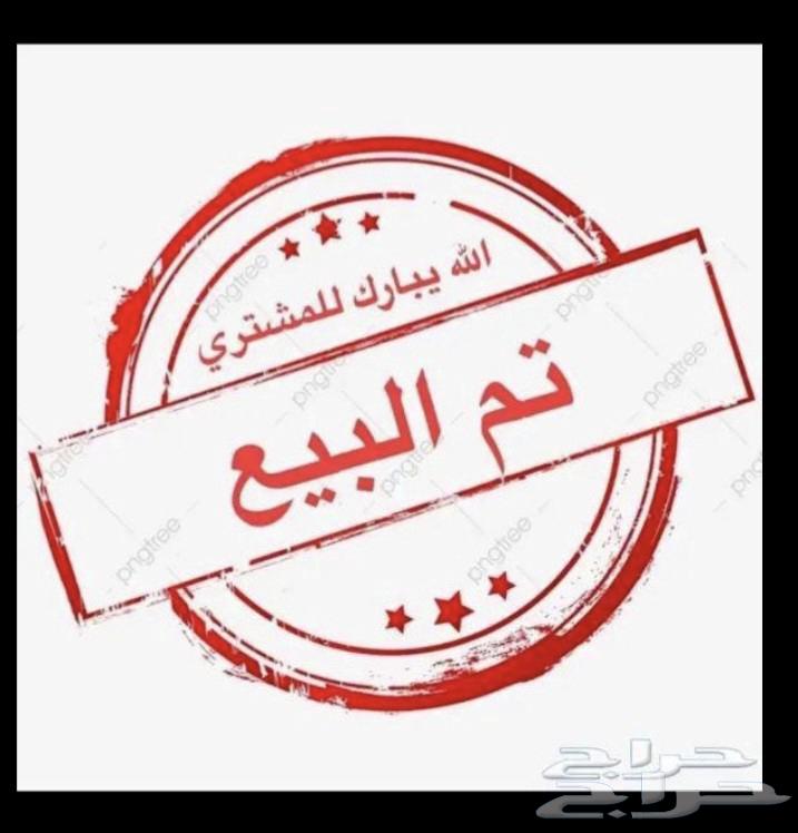 فحل حسون يمني كبيس كناري (( تم البيع ))63798906120322111