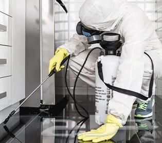 Insect Control Company and Pesticide Spraying for All Types of Insects636136341153291113